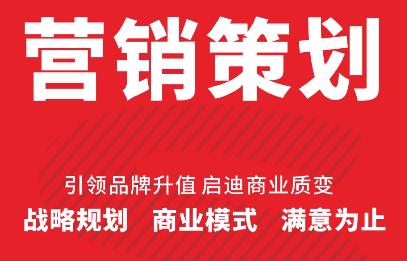 网络营销策划